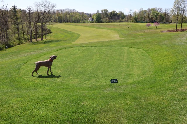 14th tee